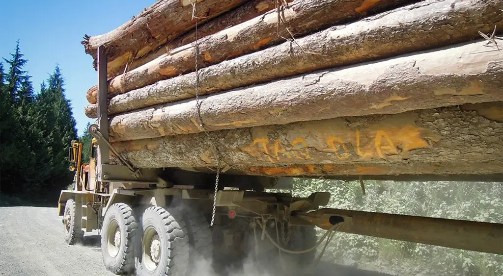 Logging truck 2000x1100